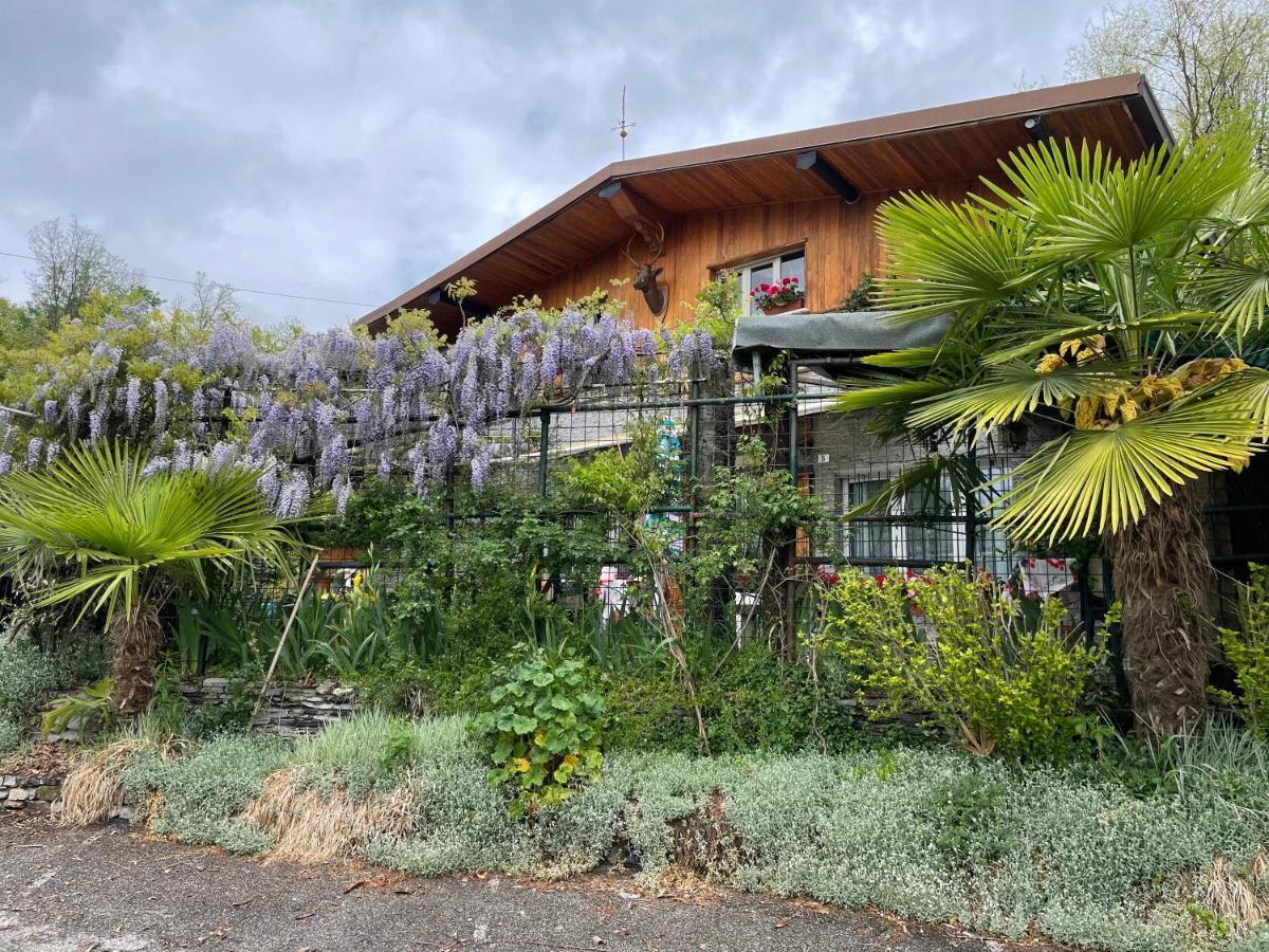 Tavernerio Al Cervo Tra I Laghi B&B 외부 사진