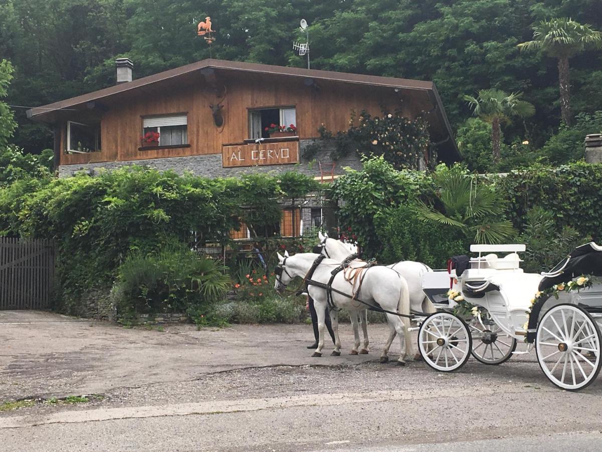 Tavernerio Al Cervo Tra I Laghi B&B 외부 사진